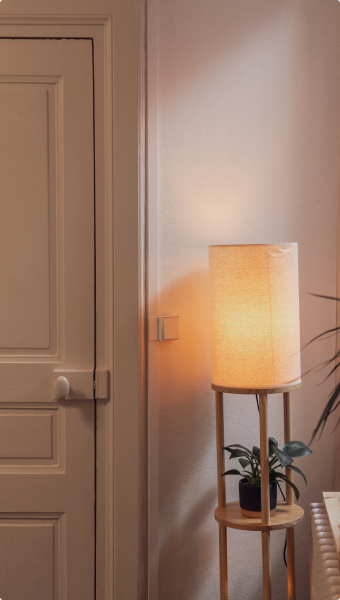 Coin du cabinet avec une lampe allumée et une petite plante.